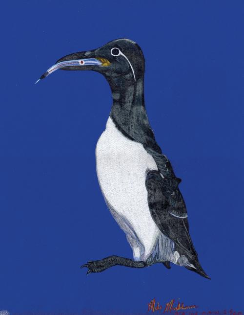 Puffin Guin