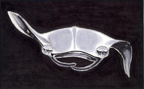 Silver Stingray