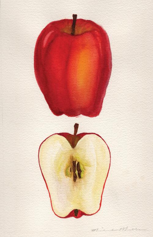 Slice of the Apple