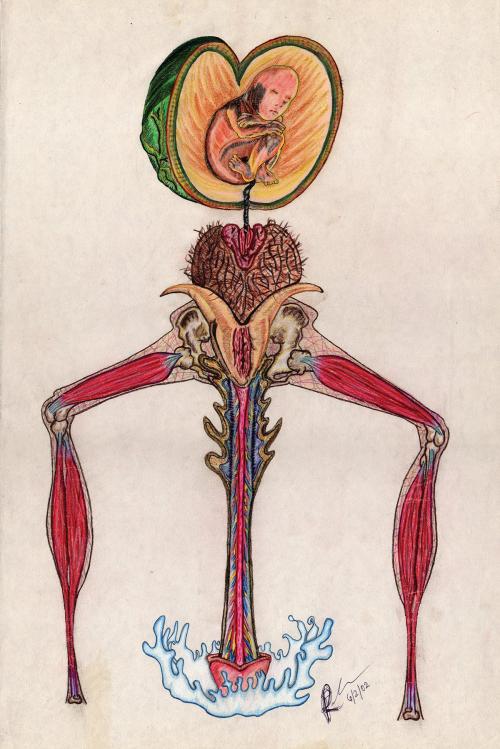 The Art of Self-Procreation