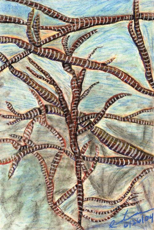 Long-Winded Cradle
