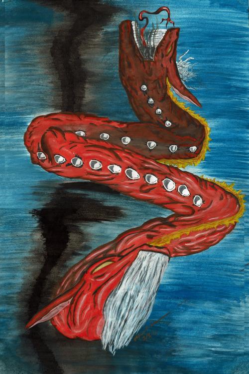 Amphisbaena