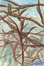 Long-Winded Cradle