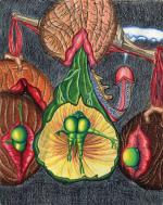 The Art of Self-Procreation II (Spacebreeding)