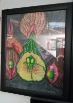 The Art of Self-Procreation II (Spacebreeding)